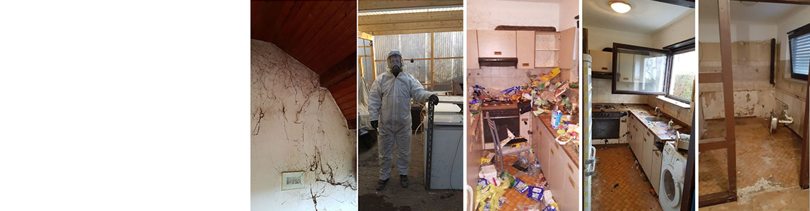 Entrümpelungen vorher nachher